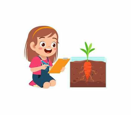 vector image of a girl learn from seeds